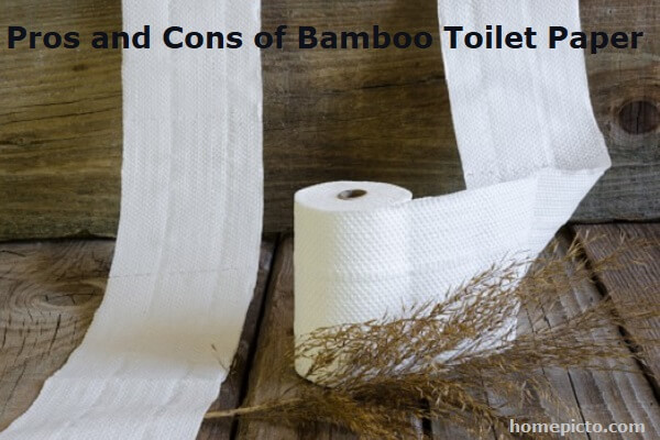 Pros and Cons of Bamboo Toilet Paper