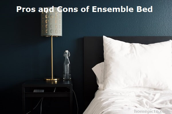 Pros and Cons of Ensemble Bed