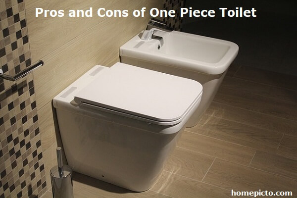 Pros and Cons of One Piece Toilet